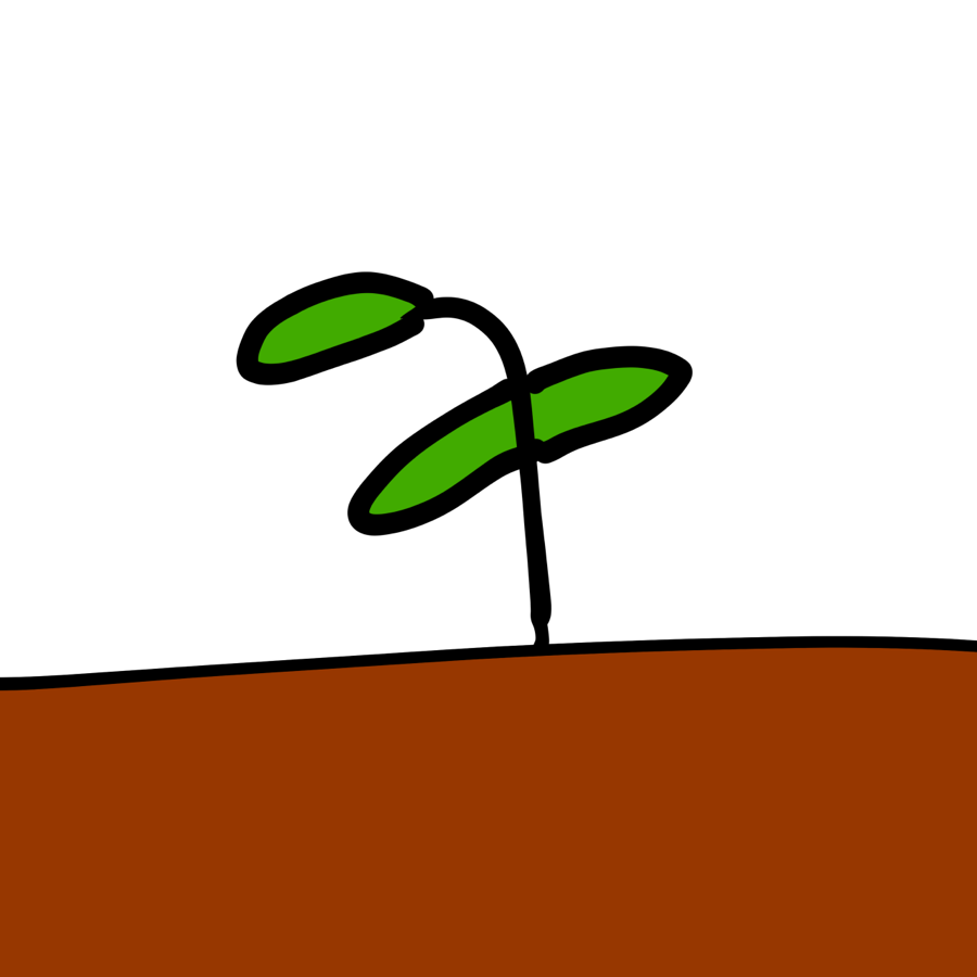 a sapling coming out of barren ground